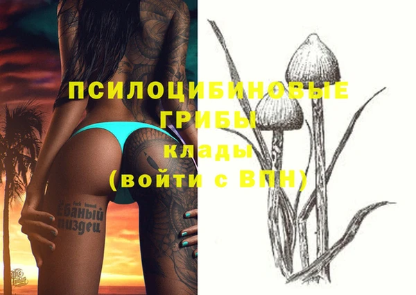 мяу мяу мука Балахна