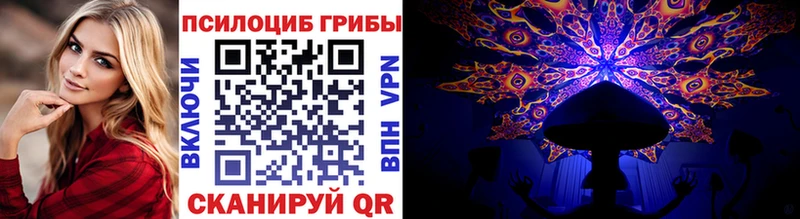 Псилоцибиновые грибы Magic Shrooms  даркнет сайт  Сусуман 